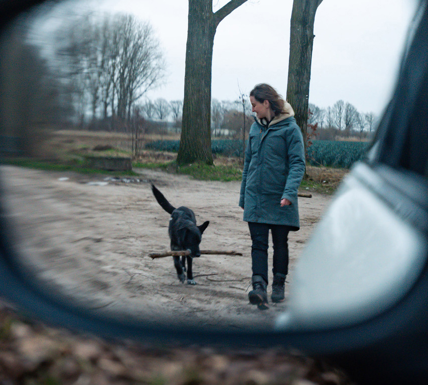 Wing_mirror_cropped_NZ.jpg