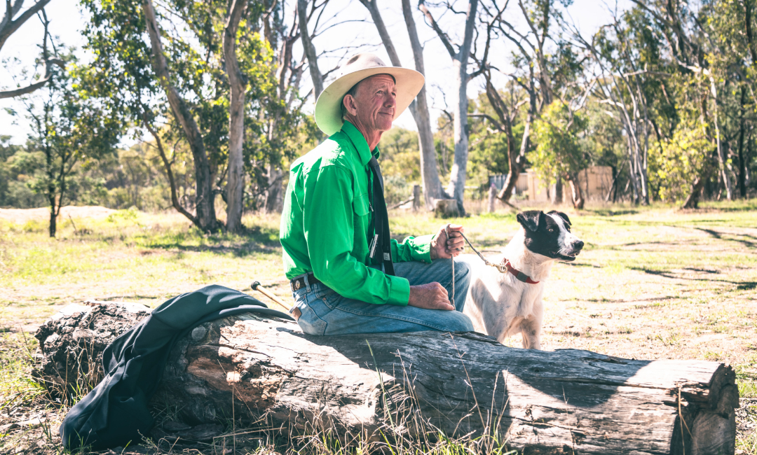 Sheepdog trial handler resting with working dog in rural Australia, capturing the tradition and outback lifestyle.
