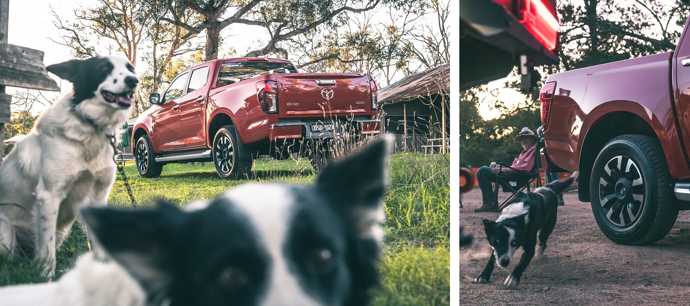 Mazda BT‑50 parked at Australian sheepdog trials as working dogs gather and move around the ute in a rural bush setting, highlighting country life and utility.