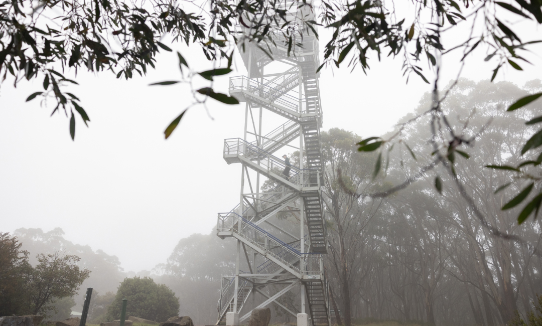 Mazda CX-80 Pure family SUV Yarra Valley tour – misty forest Mount Donna Buang lookout tower framed by eucalyptus branches in Victoria, Australia