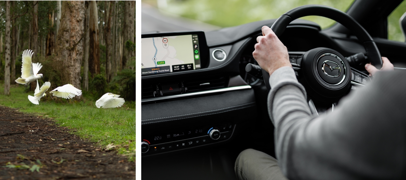 Mazda6 Observatory Mosaic 1400x622 (04).jpg