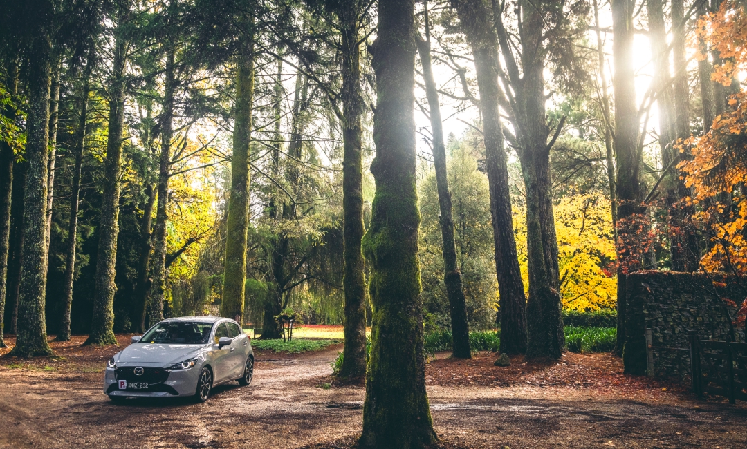 Mazda2 Autumn Image article 1080x650 (05).jpg