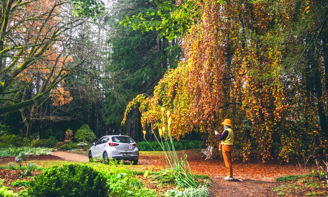 Mazda2 Autumn Image article 1080x650 (08).jpg