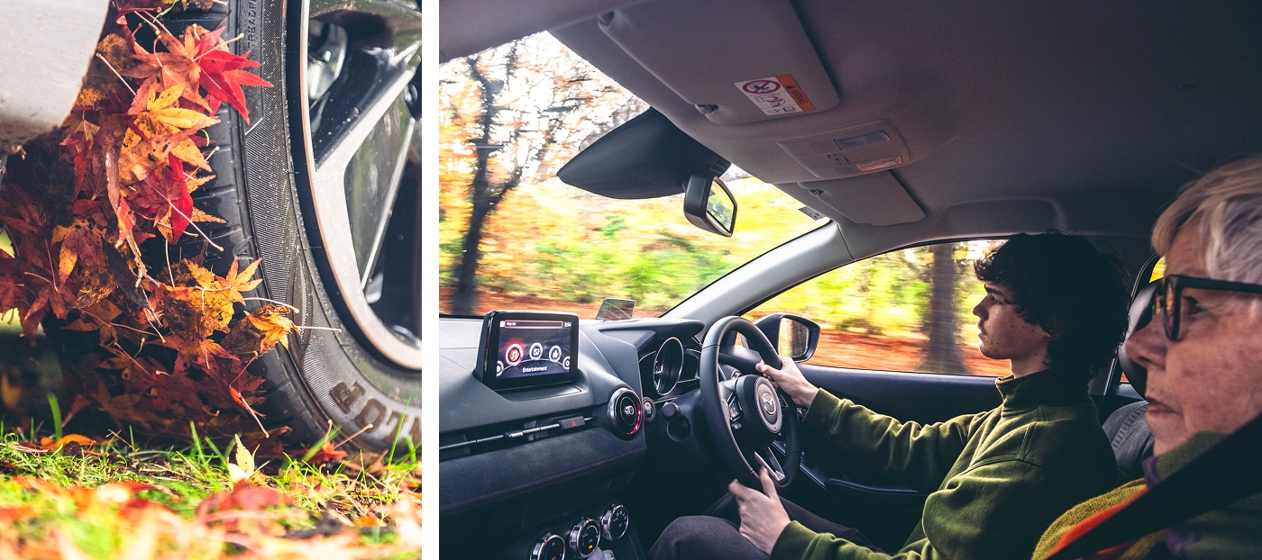 Mazda2 Autumn Mosaic 1400x622 (01).jpg