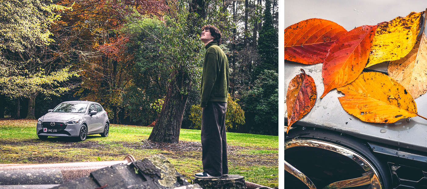 Mazda2 Autumn Mosaic 1400x622 (04).jpg