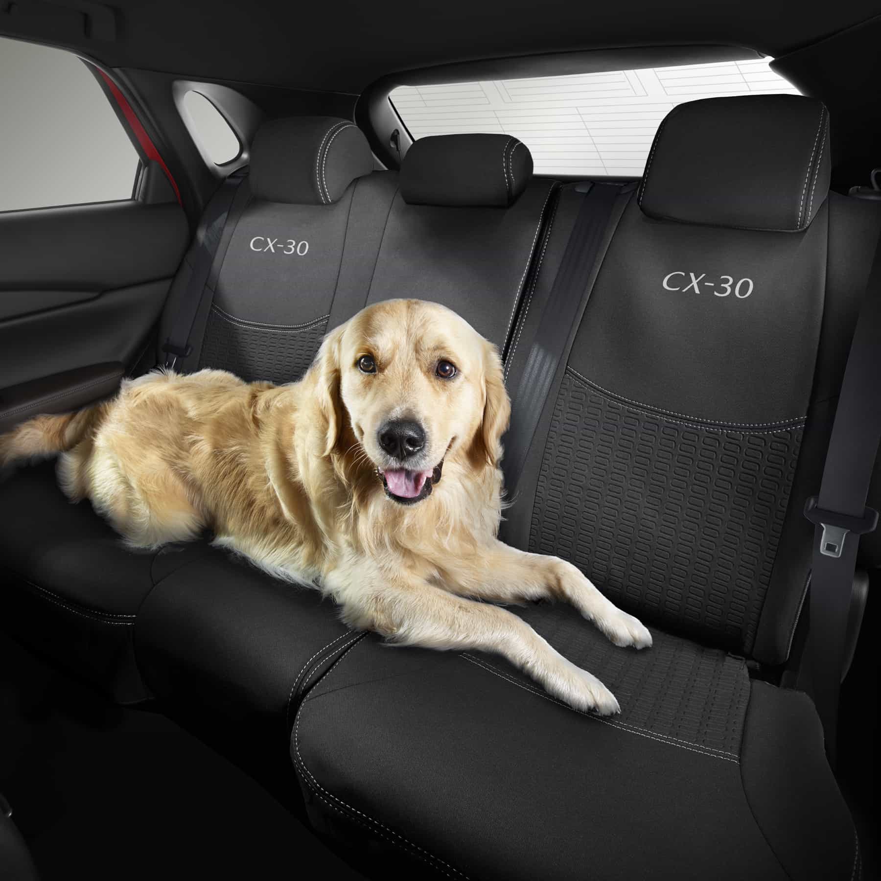 DM11ACSCR Rear Seat Cover Mazda Accessories