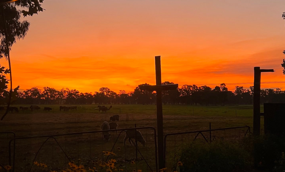 Farm 960 x 580.png