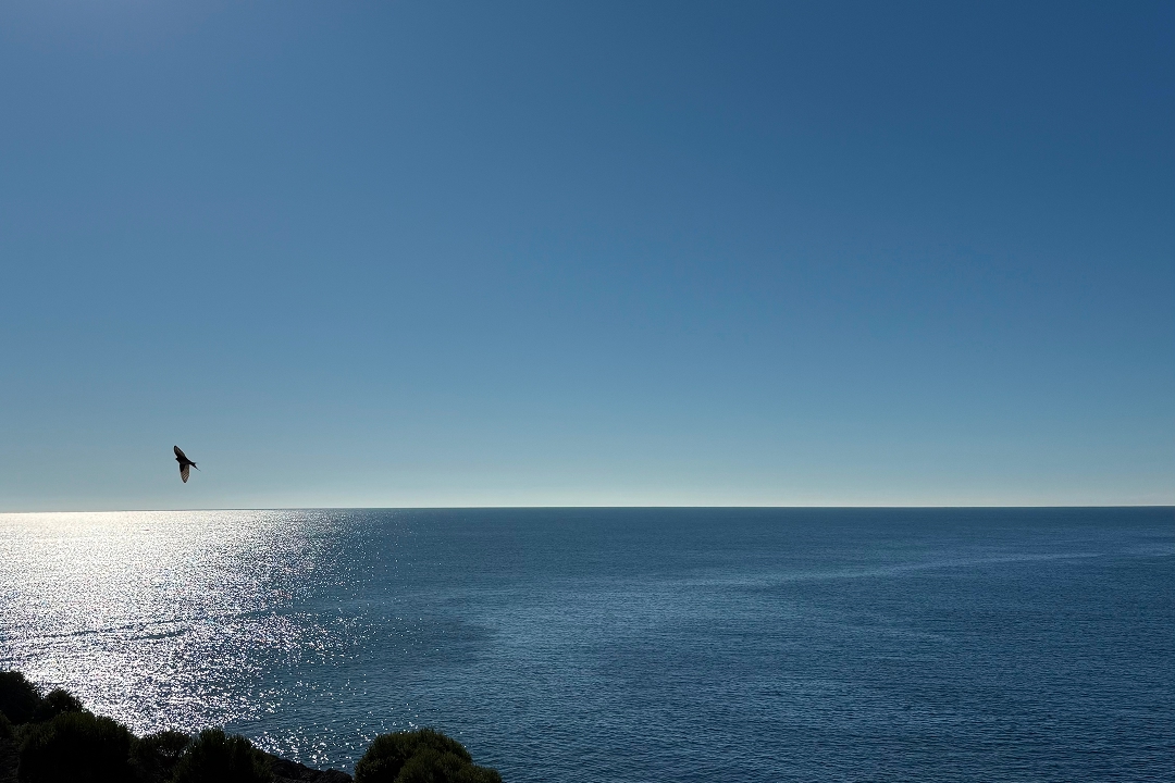 NSW South Coast scenic landscape, Sapphire Coast Australia