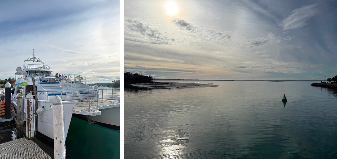 Departing Huskisson wharf for a whale watching cruise with Jervis Bay Wild, Jervis Bay NSW