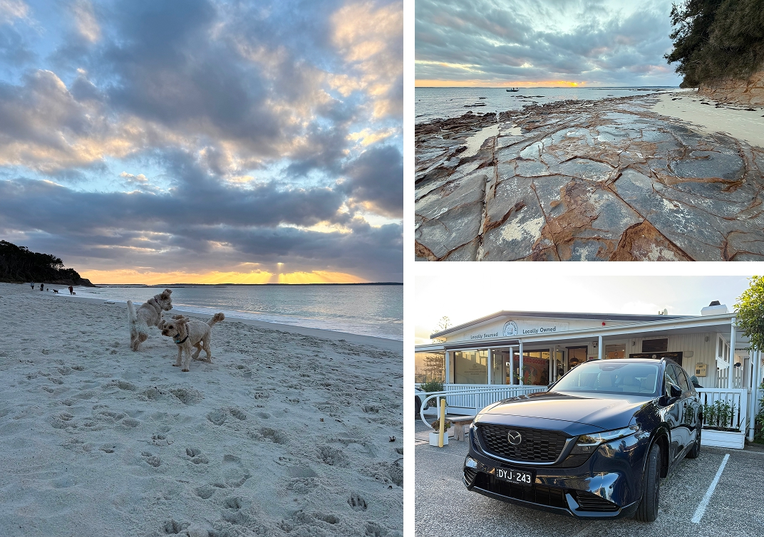 Nelson Beach dog beach, Plantation Point sunrise, and The Cooked Goose at Hyams Beach, Jervis Bay NSW