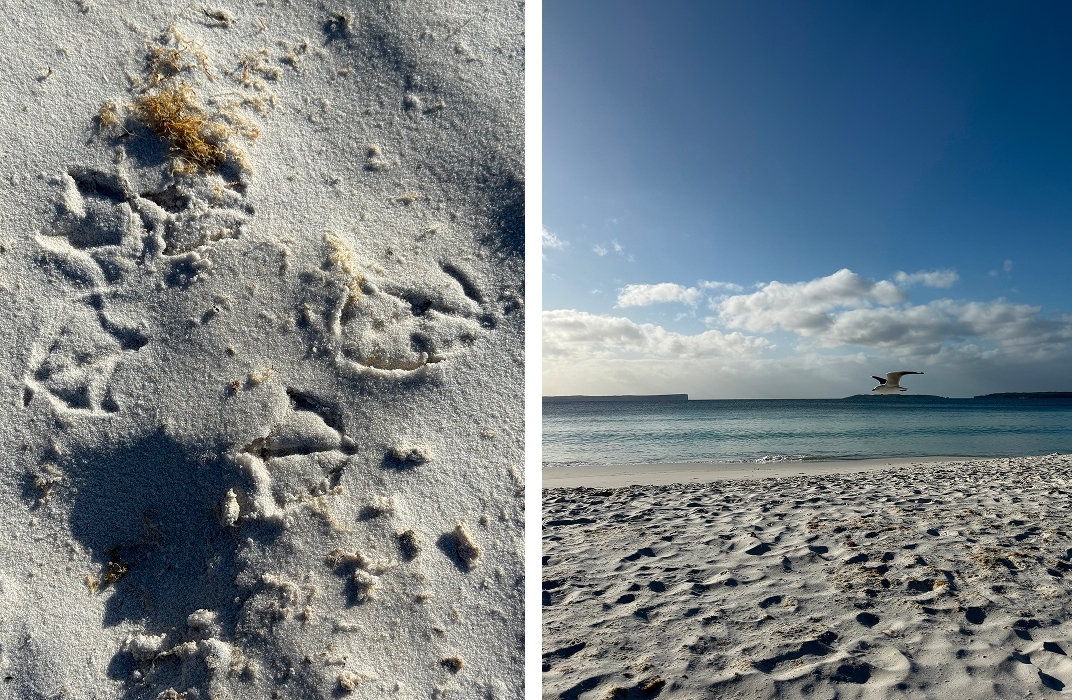 Hyams Beach famous white sand and view to the heads of Jervis Bay, NSW South Coast