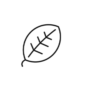 Reduced Emissions Leaf Icon