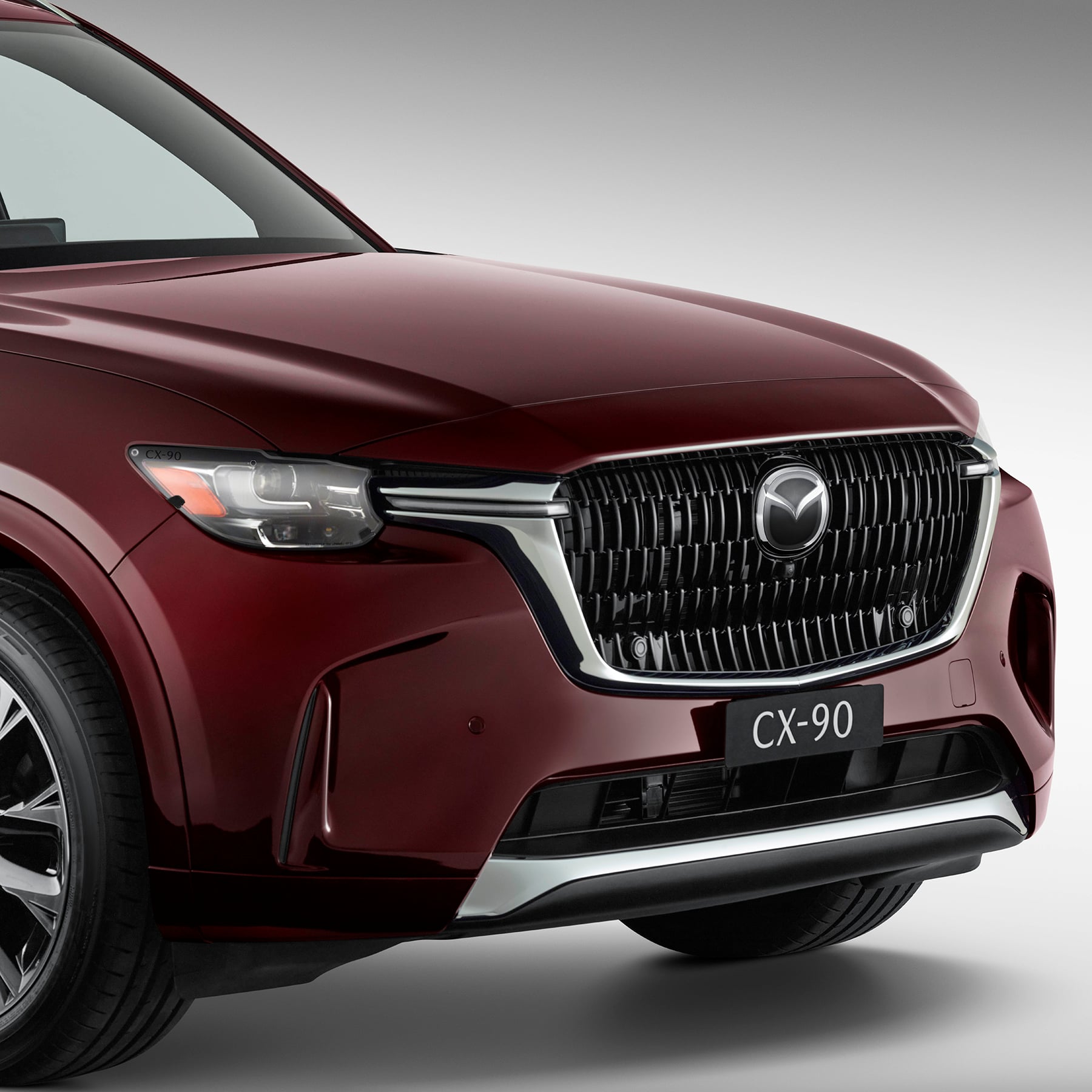 CX-90 Head Light Protector