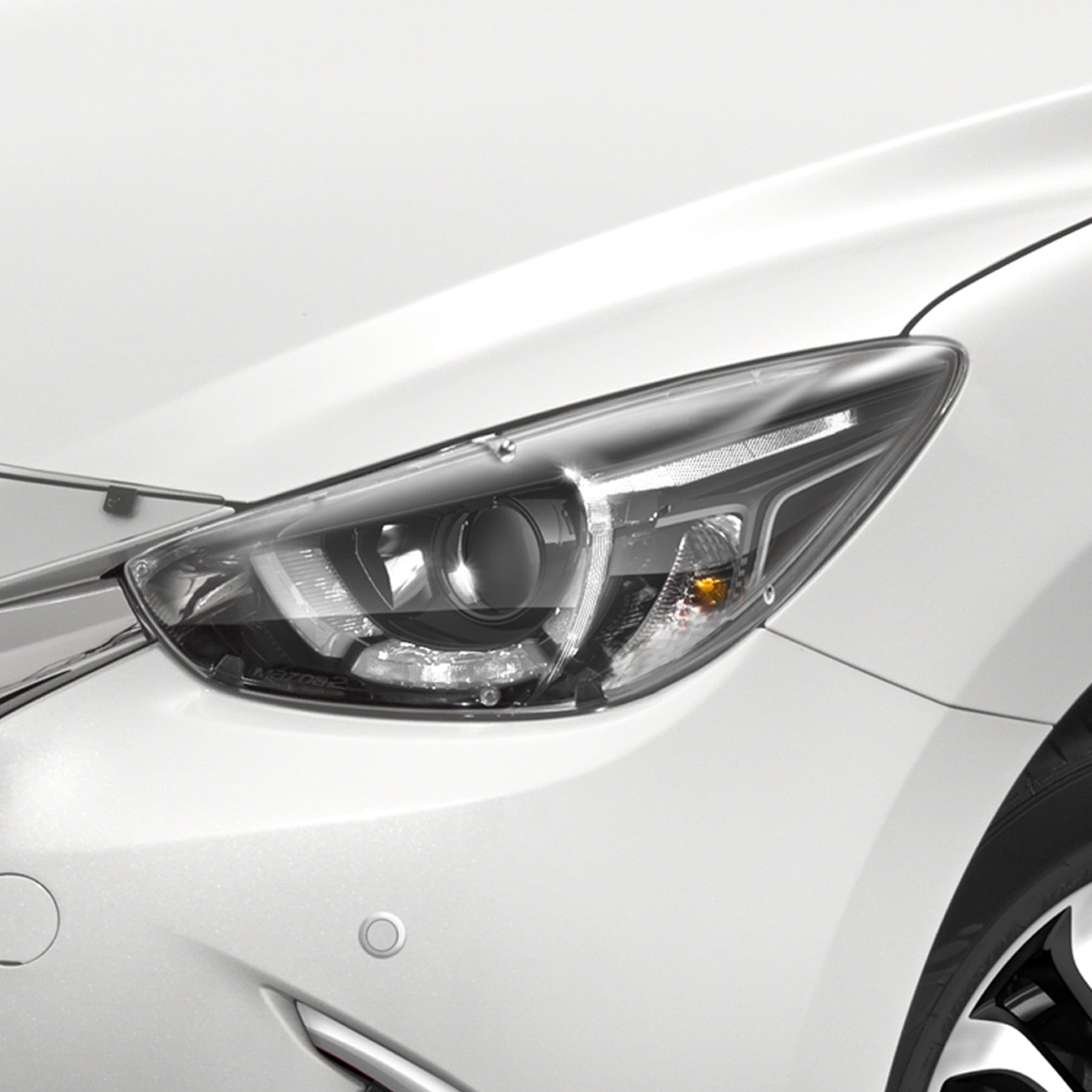 Headlight Protectors