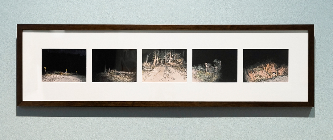 From the Landscapes of Imagination: From the Collection exhibition, 2025; Wendy Murray, The Daily Series, Hill End, 2018, ink and gouache on museum board. Silversalt Photography, image provided courtesy of BRAG 