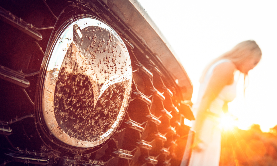 Close-up of Mazda CX-80 front grille with prominent Mazda emblem covered in outback dust and insects, captured during a Melting Copper wildflower road trip in Western Australia at sunset.