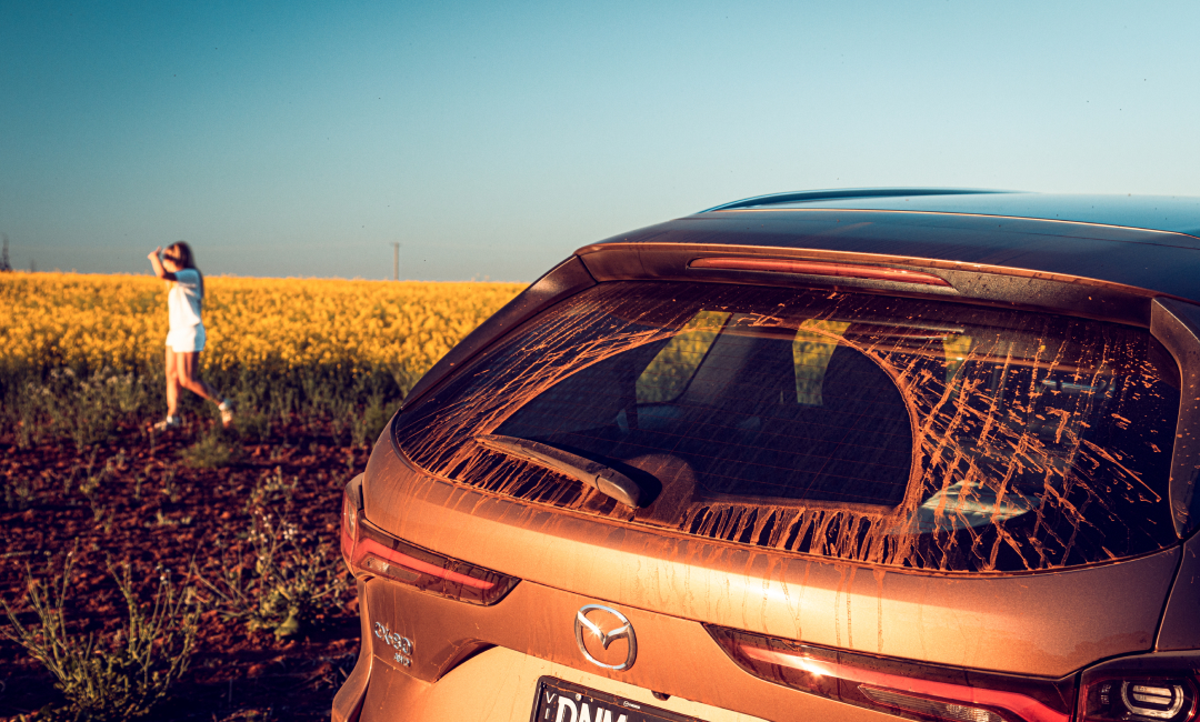 Rear view of Mazda CX-80 in Melting Copper with dust streaks on the back window, parked near a vibrant yellow canola field during a Western Australia wildflower road trip under clear blue skies.