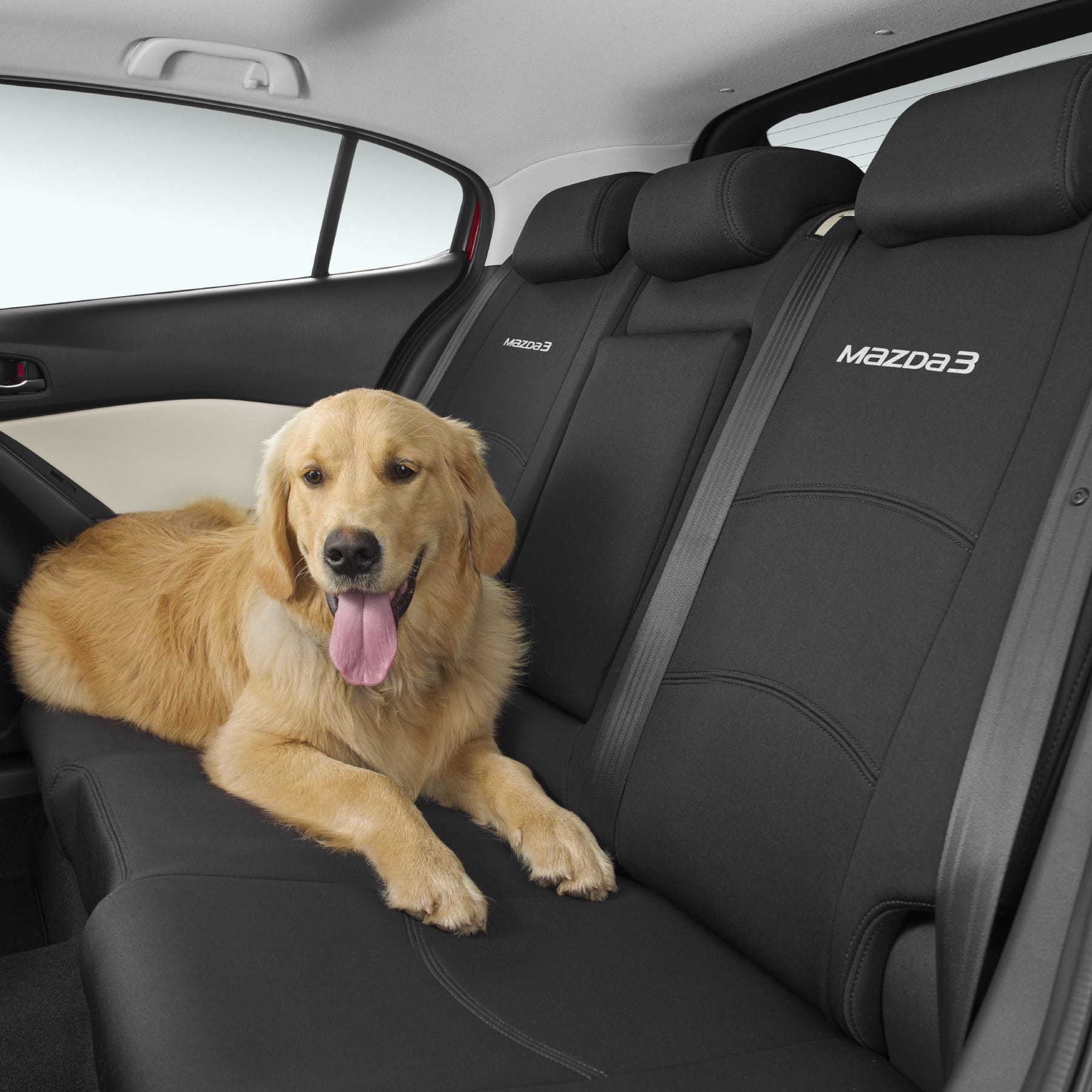 Rear Seat Cover