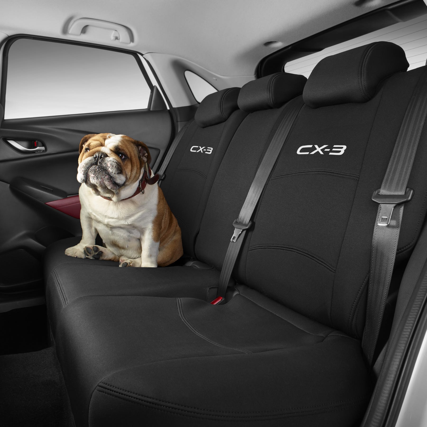 Rear Seat Cover