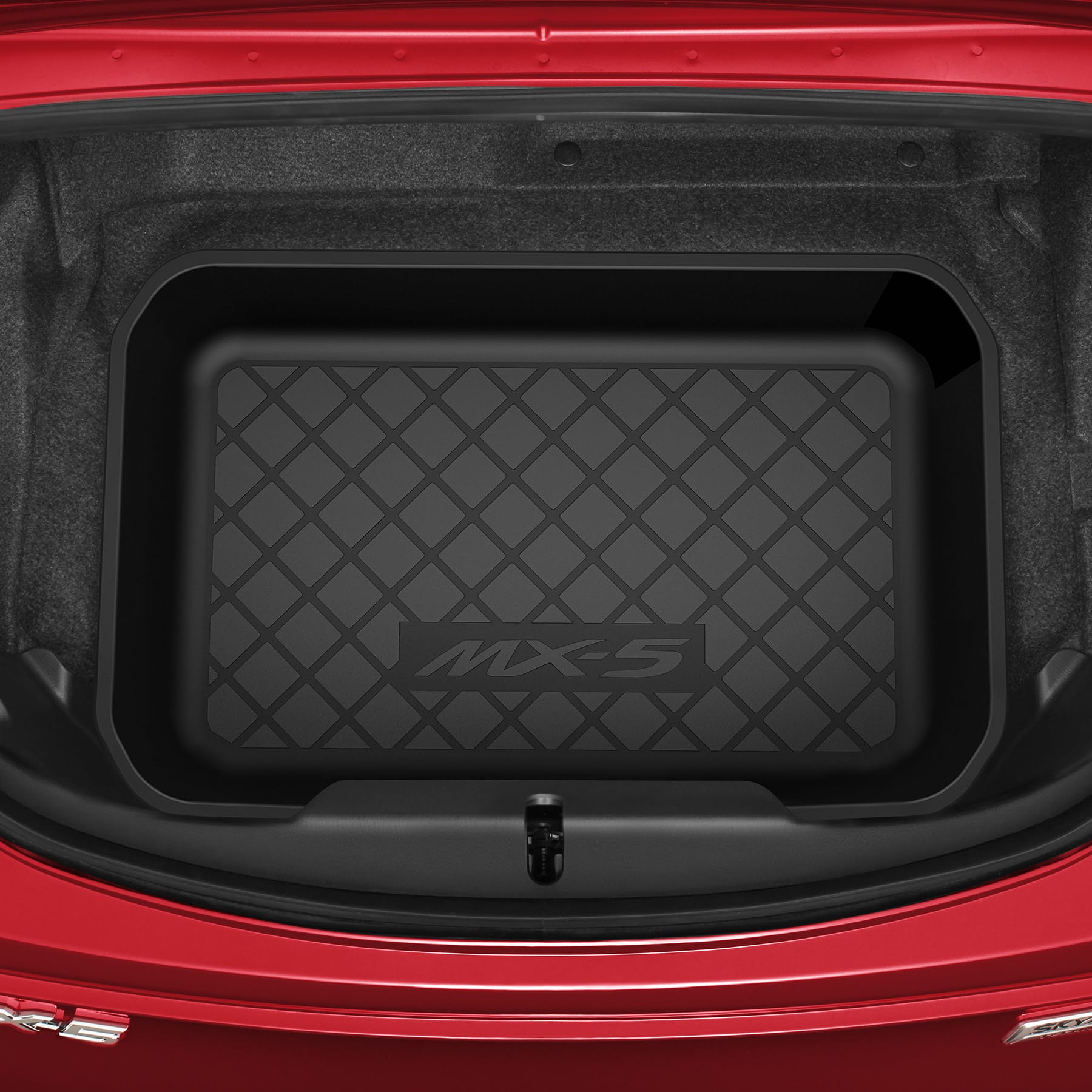 Cargo Tray
