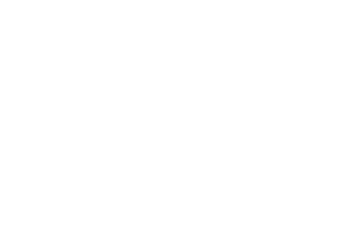 Electronic brakes
