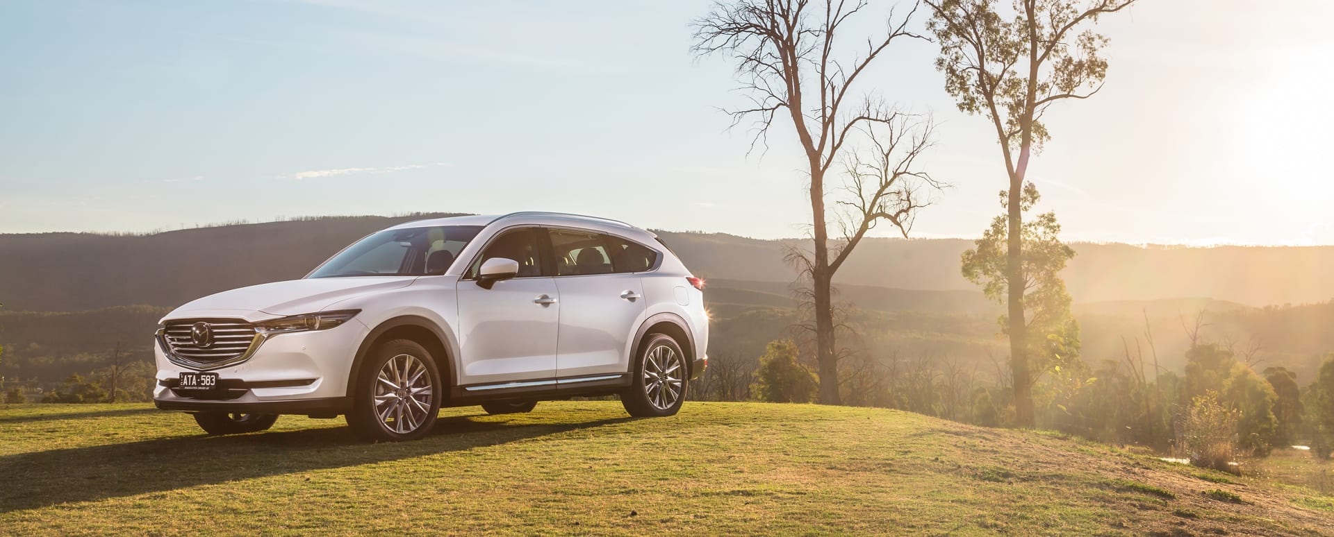 Hill Descent Control & Hill Start Assist